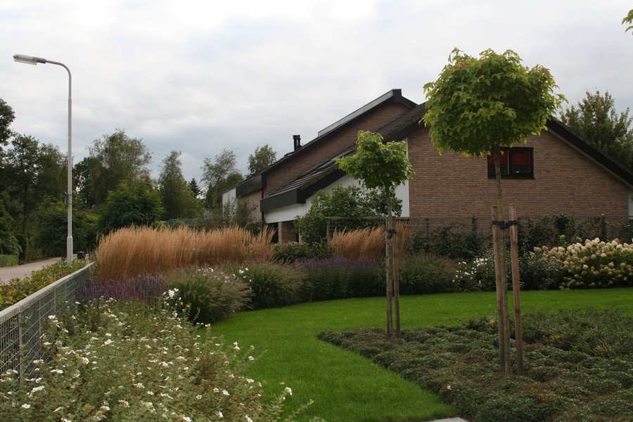 Onderhoudsarme tuin Drachten Tuinontwerp Groningen, Friesland en Drenthe